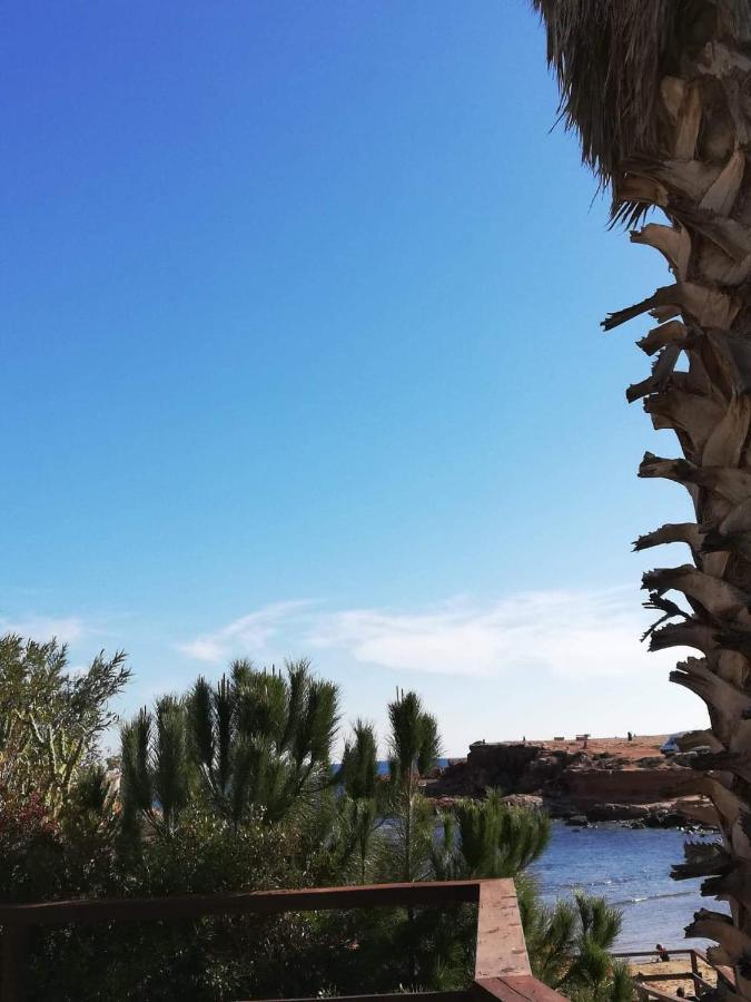 Perfect For Exploring Local Areas And More Torrevieja Esterno foto