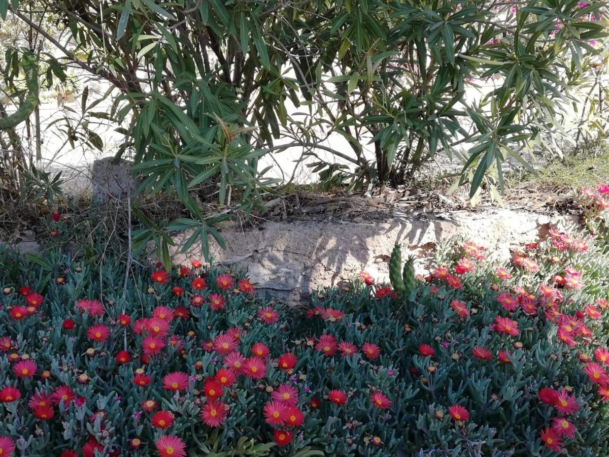 Perfect For Exploring Local Areas And More Torrevieja Esterno foto